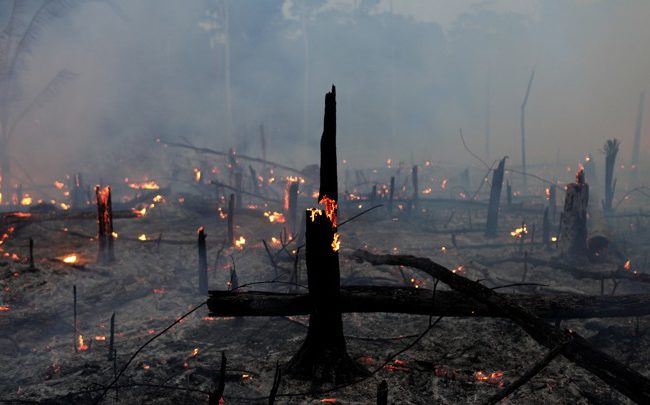 A fire burns a tract of Amazon jungle as it is cleared by a farmer in Machadinho do Oeste, Rondonia state, Brazil September 2, 2019. REUTERS/Ricardo Moraes - RC1F6551D1A0